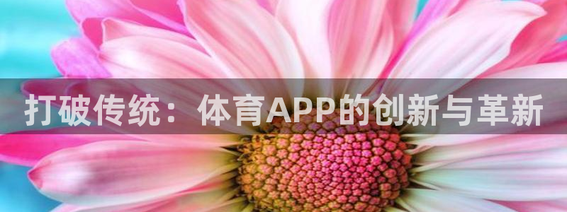 打破传统：体育APP的创新与革新