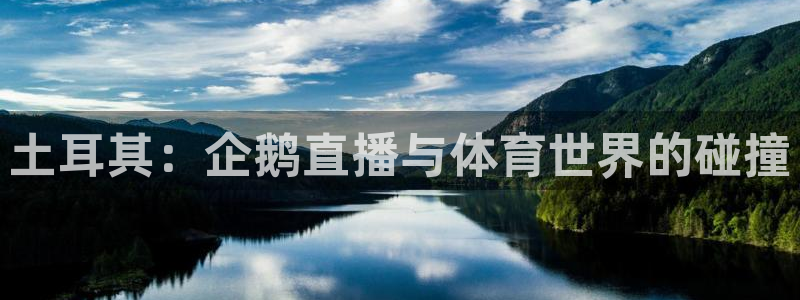 土耳其：企鹅直播与体育世界的碰撞
